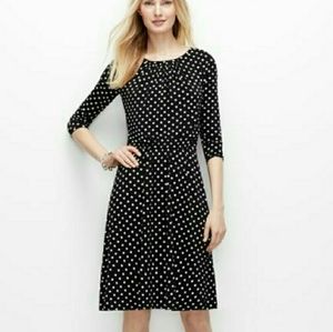 Ann taylor polka dot dress large